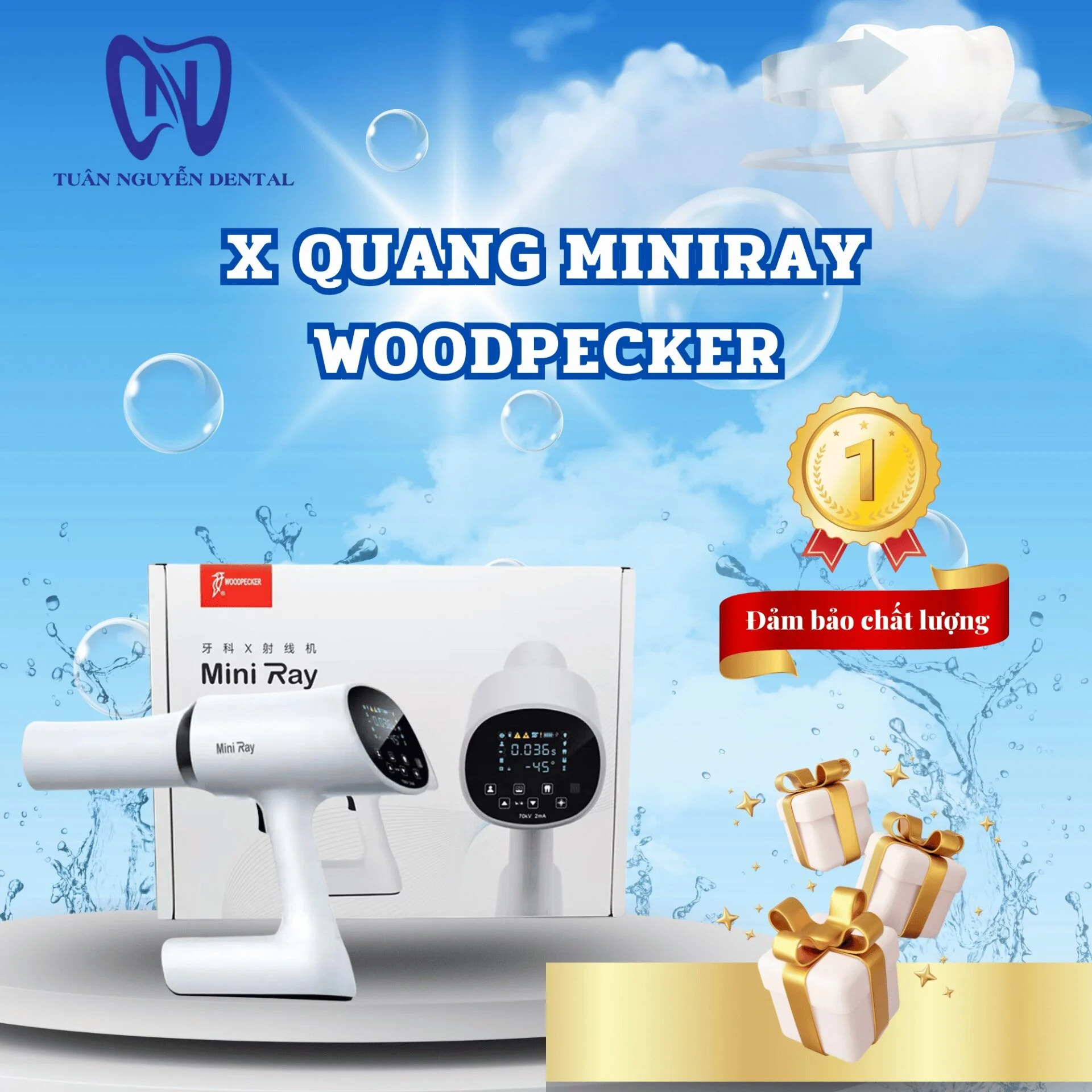 Xquang Miniray Woodpecker